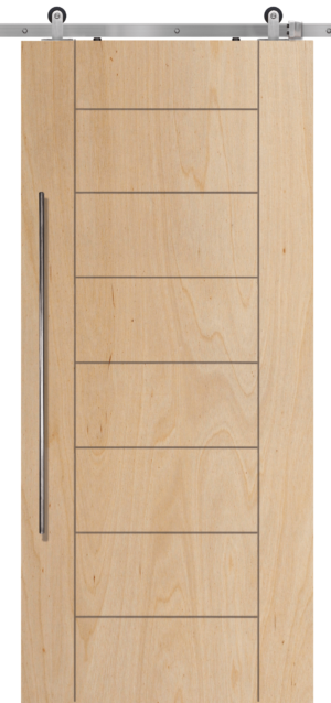 Contemporary Birch Barn Doors